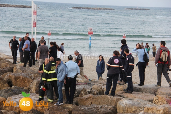 delferaniom3 (6).JPG